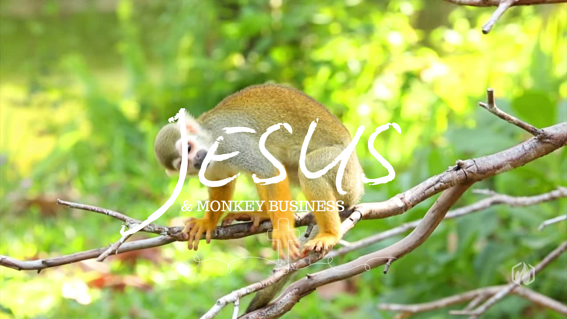 Jesus & Monkey Business