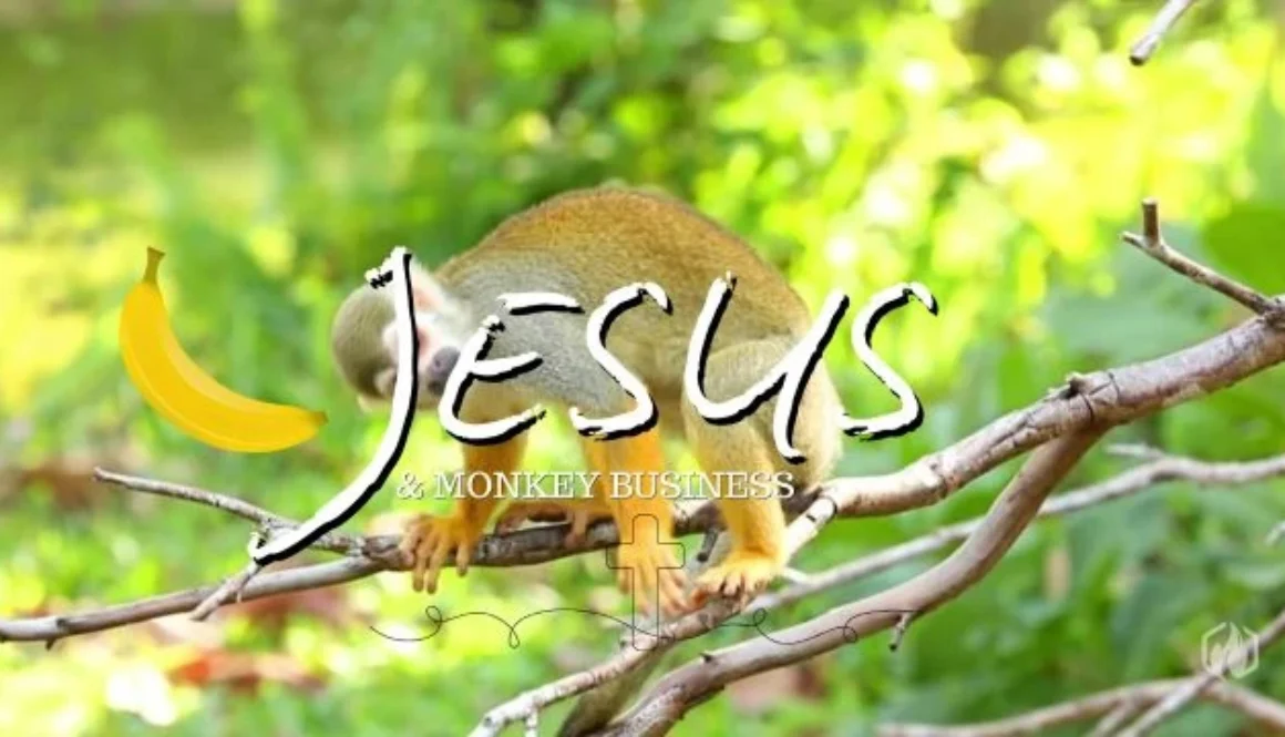Jesus & Monkey Business
