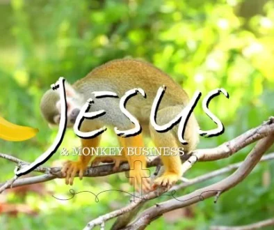 Jesus & Monkey Business